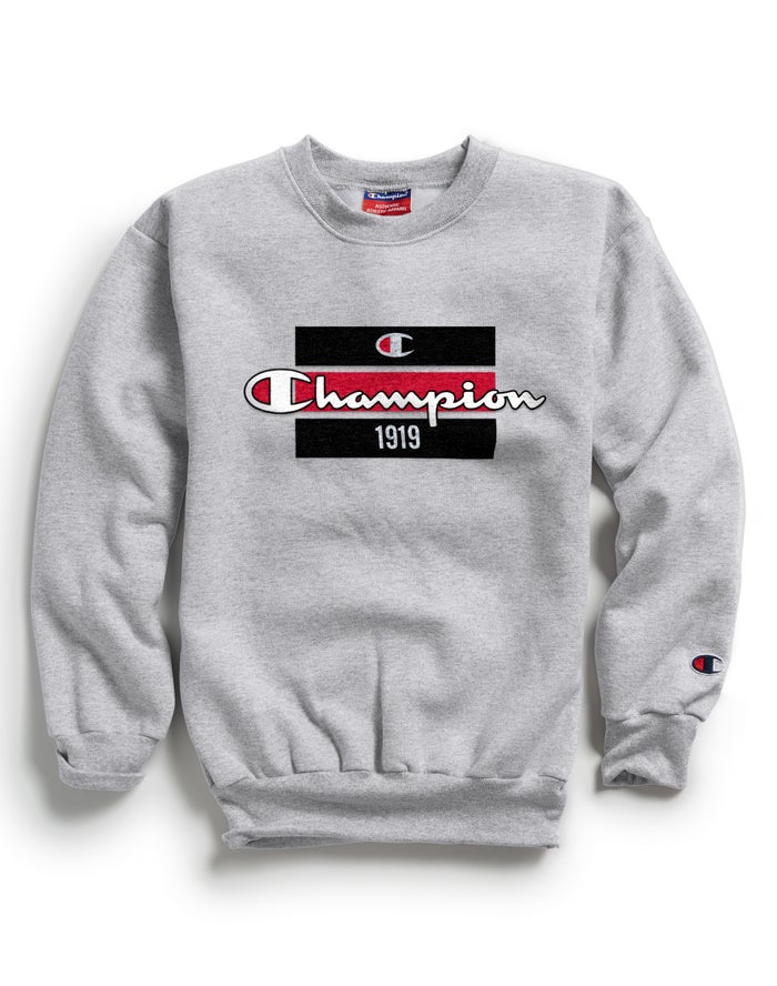 Champion Drenge Sweatshirt Grå - Double Dry Raising the Bar - Danmark ZOR-645037